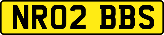 NR02BBS