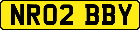NR02BBY