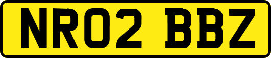 NR02BBZ