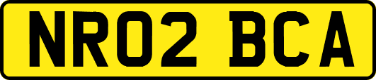 NR02BCA