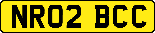 NR02BCC