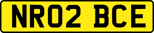 NR02BCE