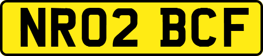 NR02BCF