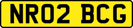 NR02BCG