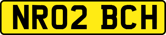 NR02BCH