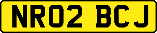 NR02BCJ