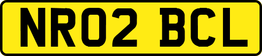 NR02BCL