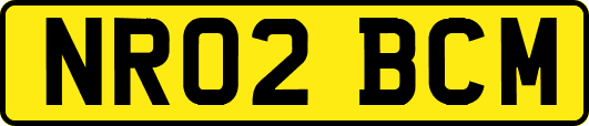 NR02BCM