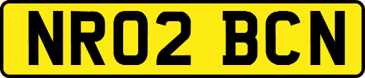 NR02BCN