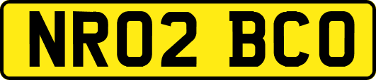 NR02BCO