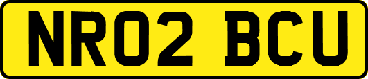 NR02BCU