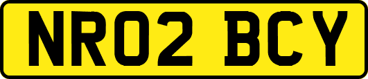 NR02BCY