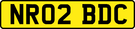 NR02BDC