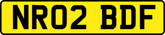 NR02BDF