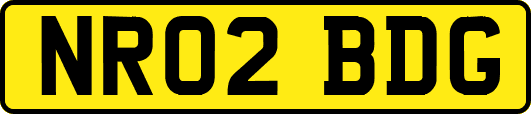 NR02BDG