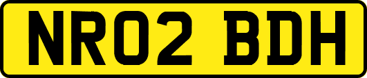 NR02BDH