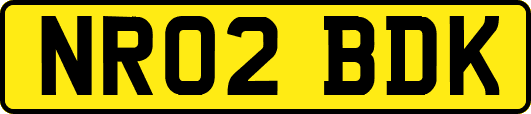 NR02BDK