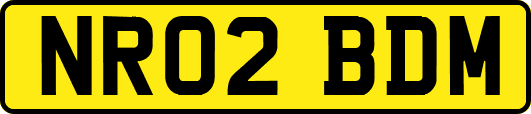 NR02BDM
