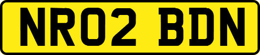 NR02BDN