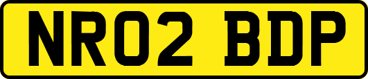 NR02BDP