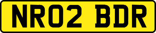 NR02BDR