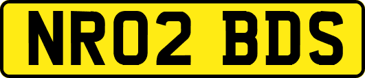NR02BDS