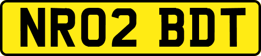 NR02BDT