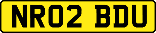 NR02BDU