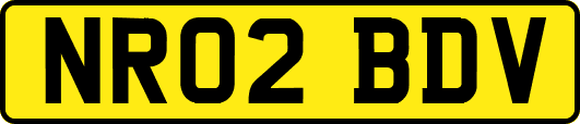 NR02BDV