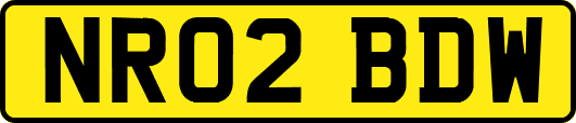 NR02BDW