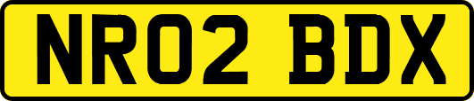 NR02BDX
