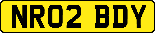 NR02BDY
