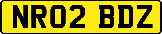 NR02BDZ