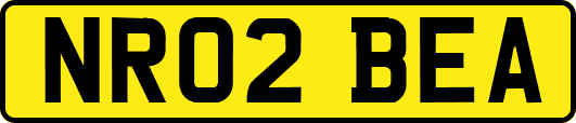 NR02BEA