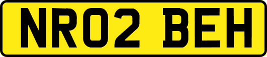 NR02BEH
