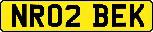 NR02BEK