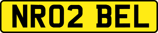 NR02BEL