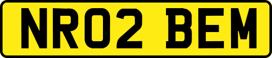 NR02BEM