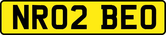 NR02BEO