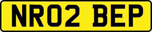 NR02BEP