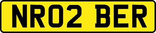NR02BER