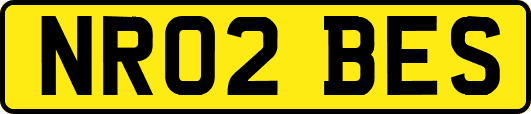 NR02BES