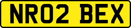 NR02BEX
