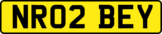 NR02BEY