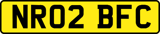 NR02BFC
