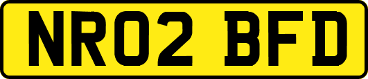 NR02BFD