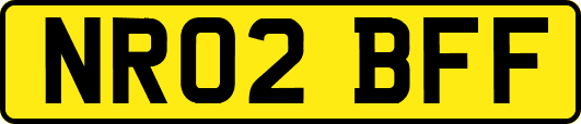 NR02BFF