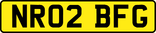 NR02BFG