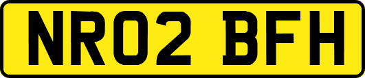 NR02BFH