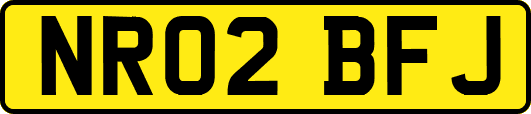 NR02BFJ